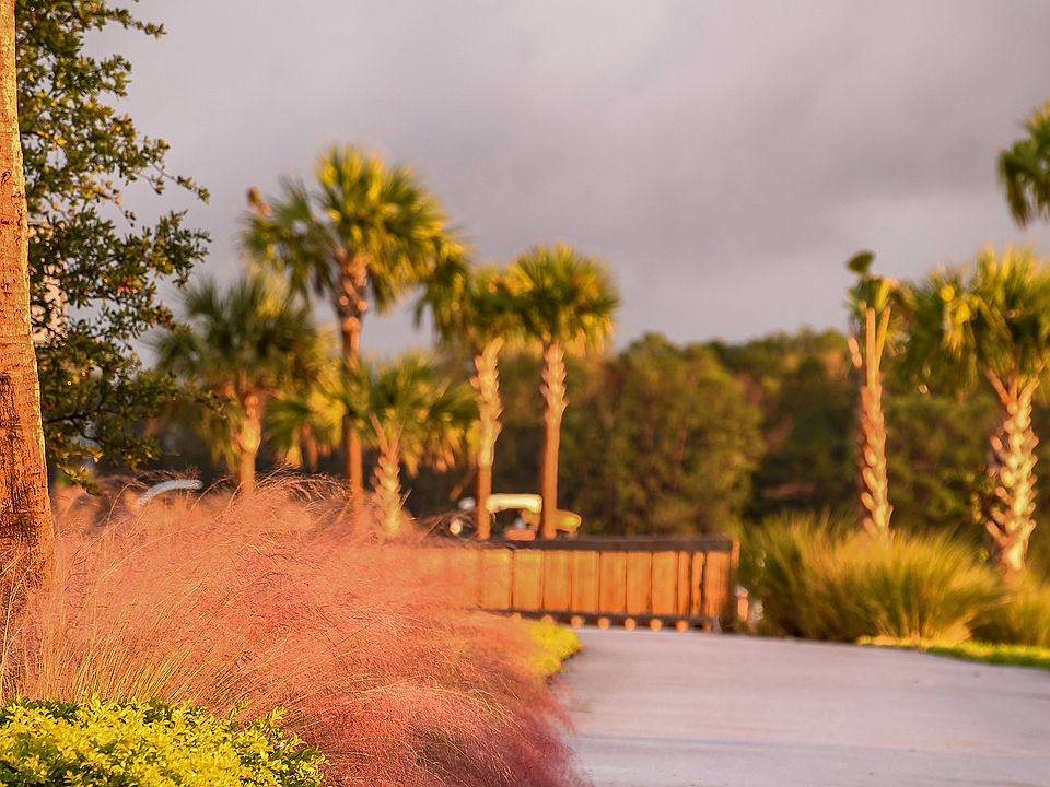 Patterson Plan, River's Edge, Wesley Chapel, FL 33543 Zillow