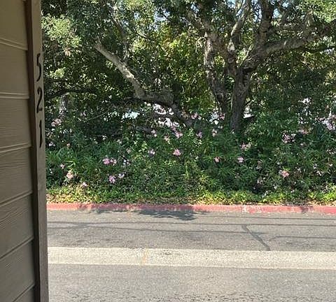 3rd image of 521 Mission Boulevard