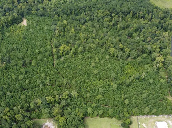 TBD Lonzy Ln., Conway, SC 29526