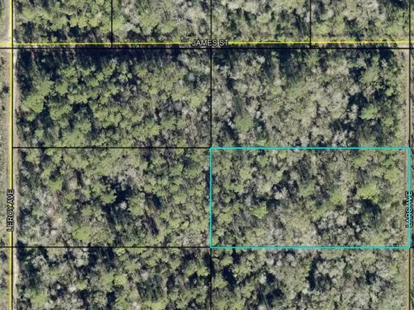 x LARS AVENUE LOT 4, HASTINGS, FL 32145