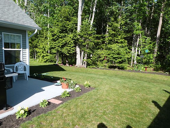 View into back yard 