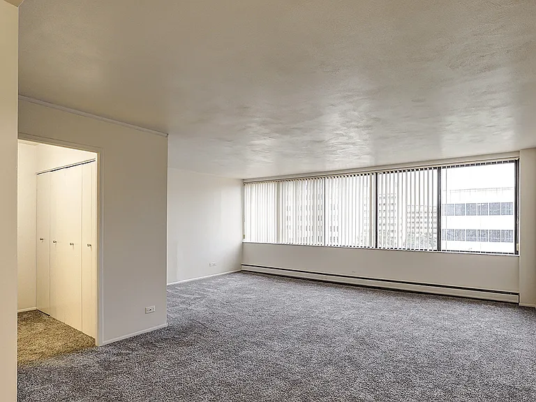 Cozy, Plush Carpeting