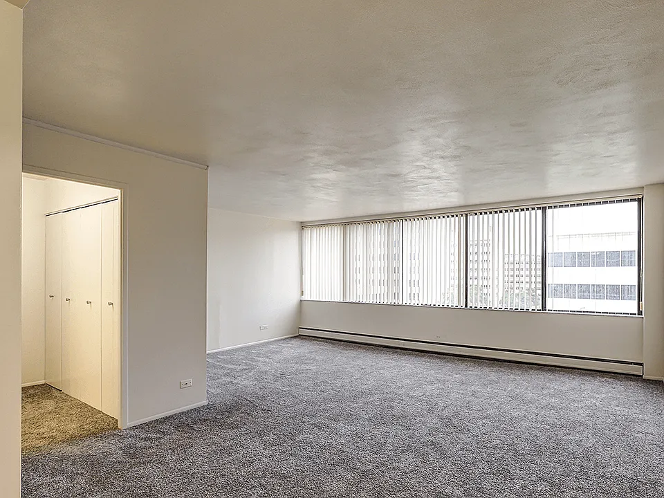 Cozy, Plush Carpeting