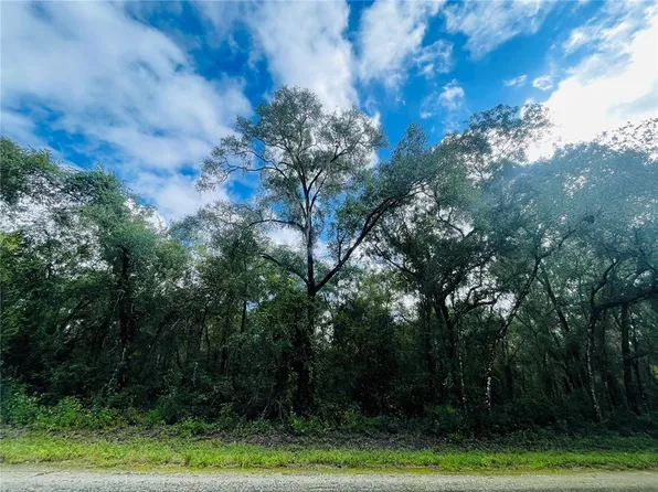Elaine Dr Lot 15, Webster, FL 33597