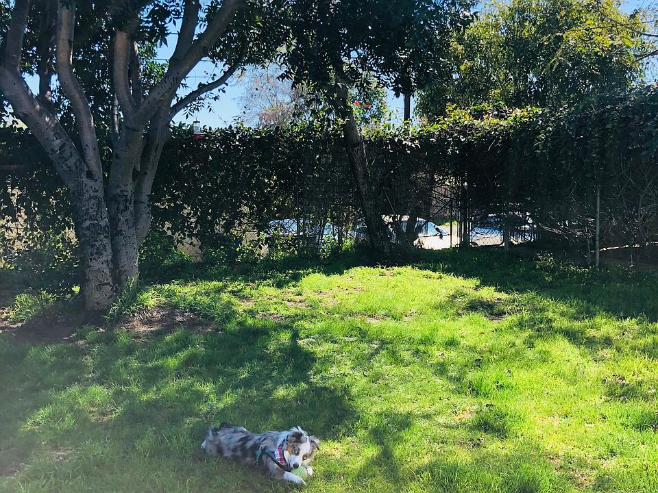 1st image of 4379 Clairemont Mesa Blvd