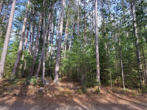 3.8 Genore Trl, Orr, MN 55771