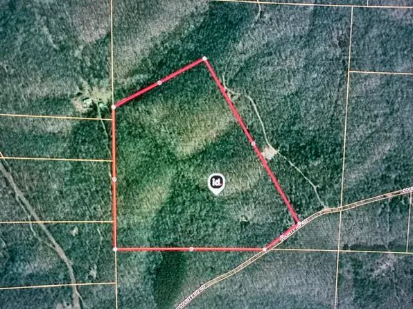 000 Private Road 421-35, West Plains, MO 65775