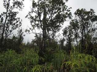 Kokokahi Rd LOT 14, Volcano, HI 96785