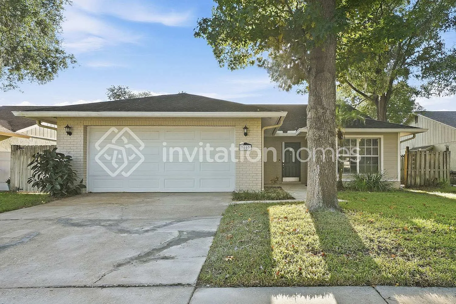 8803 Hampden Dr Tampa, FL 33626 — Photo 1