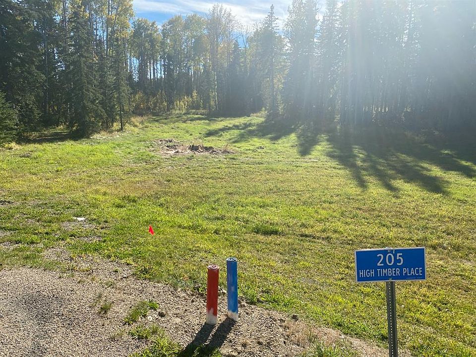 2nd image of 205 High Timber Pl