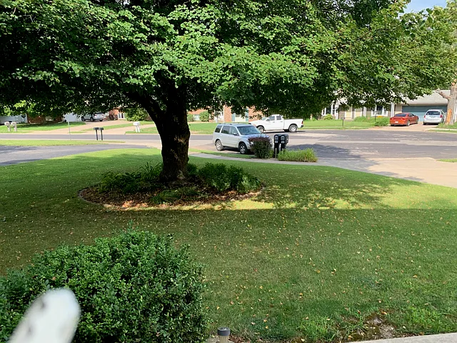 6924 Flamingo Ct. - 1 — Photo 2