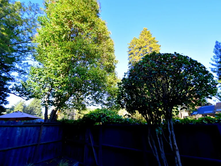 170 Miller Ave #7 — Photo 22
