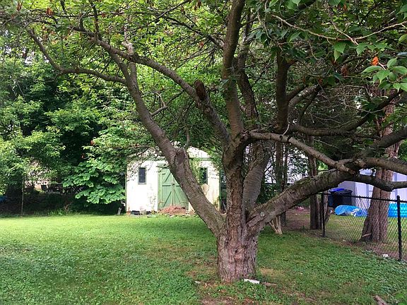 3rd image of 3 E Tansey Dr