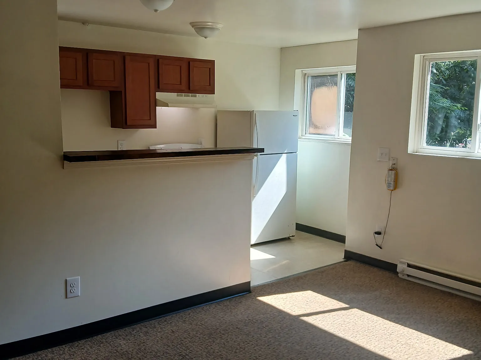 1 bed, $850 — Photo 1