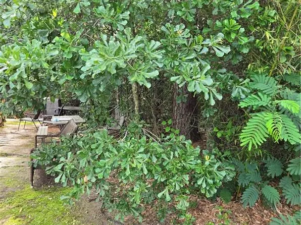 Daisy St, Covington, LA 70435