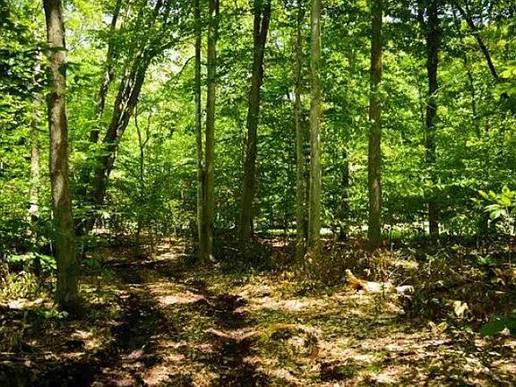 3rd image of 2465 Hemlock Ln