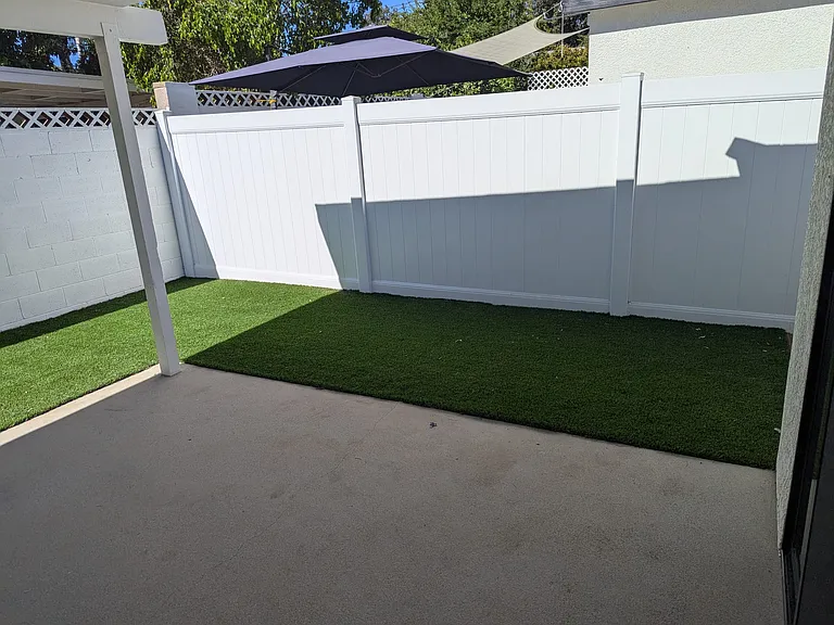 Back yard