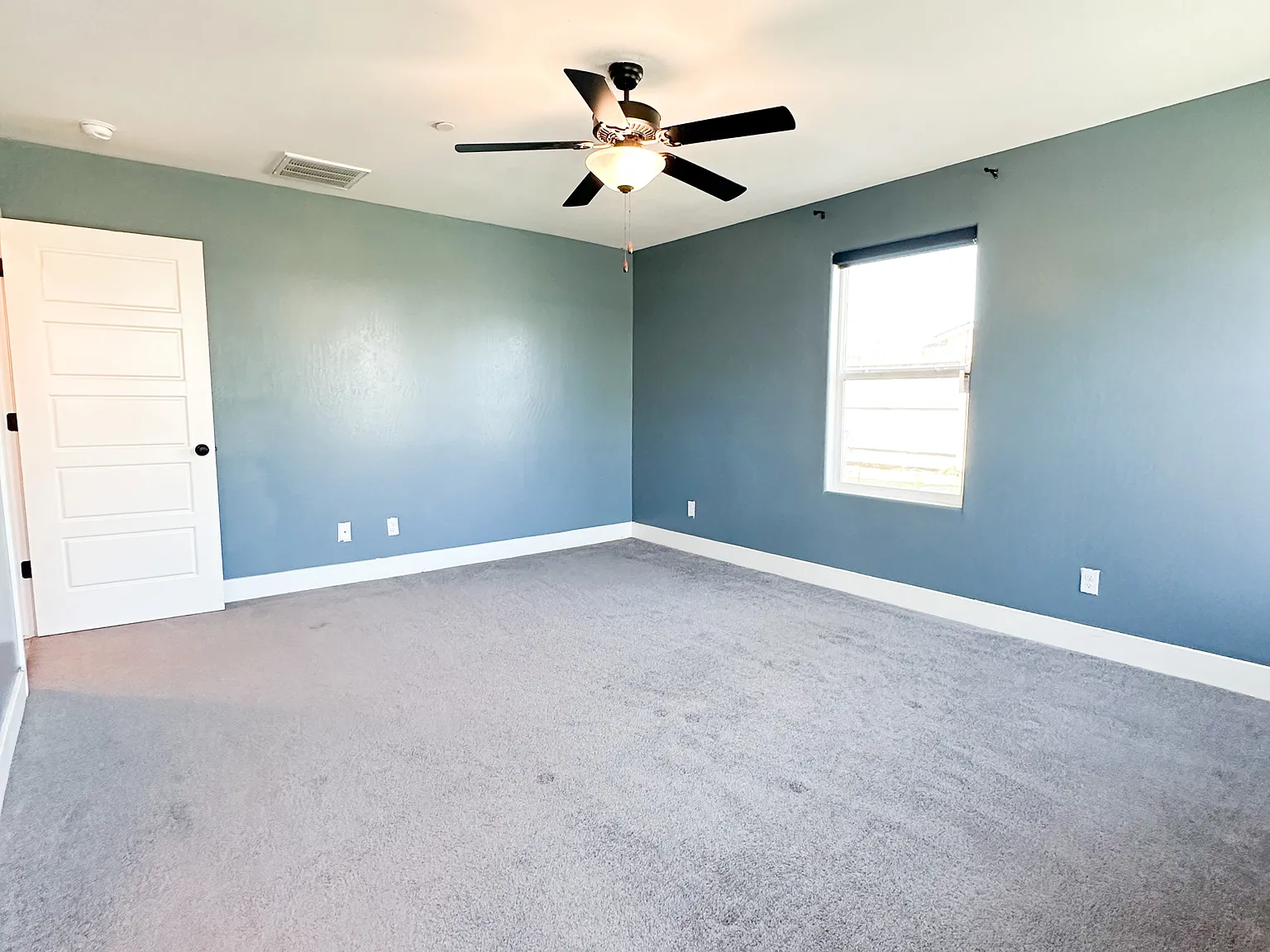 10112 Cooper Lake Ave — Photo 4