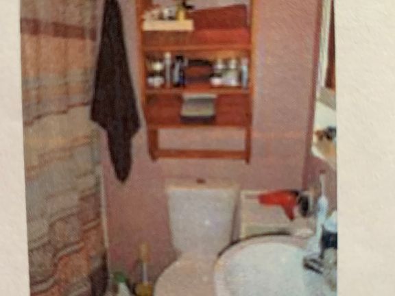 Downstairs bathroom & shower