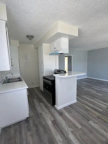 1 bed, 600 sqft, $1,650 — Photo 3