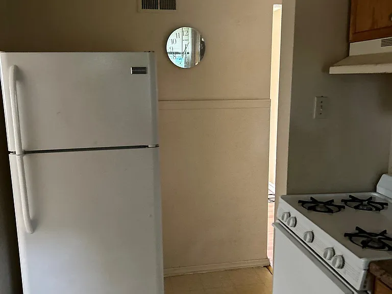 9749 Lilly Jean Dr — Photo 4