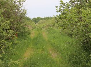 Tbd01 Creek Rd, Nashwauk, MN 55769