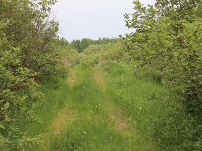 Tbd01 Creek Rd, Nashwauk, MN, 55769