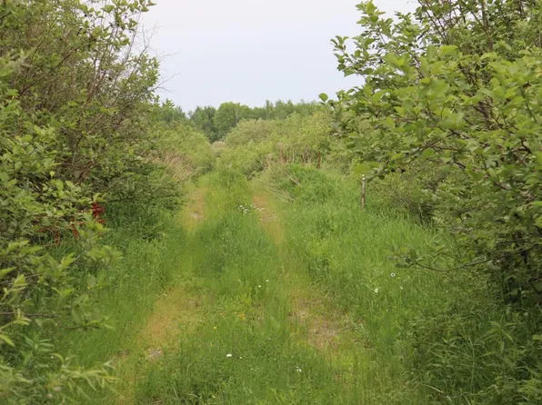 Tbd01 Creek Rd, Nashwauk, MN 55769