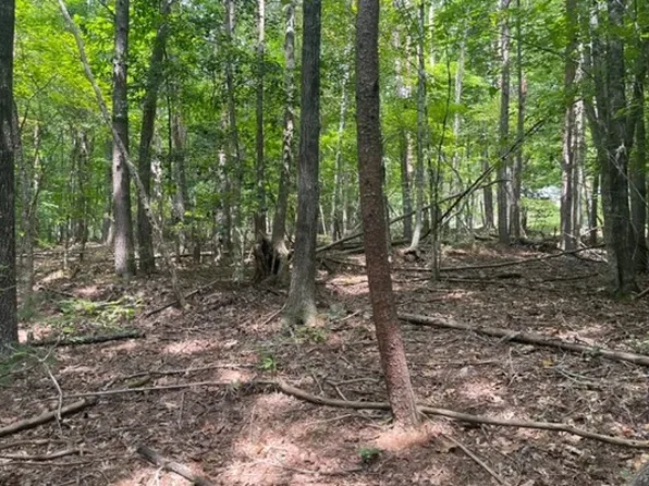 8 Wildwood Dr, Hayesville, NC 28904