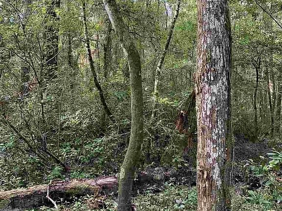3rd image of 12551 River Creek Dr