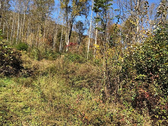 4th image of 333 Leatherwood Rd