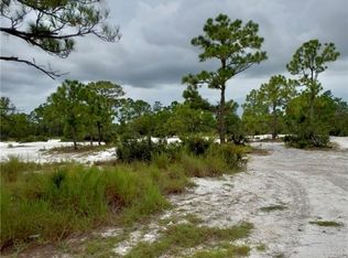 1227 Southern Pine St, Lake Placid, FL 33852