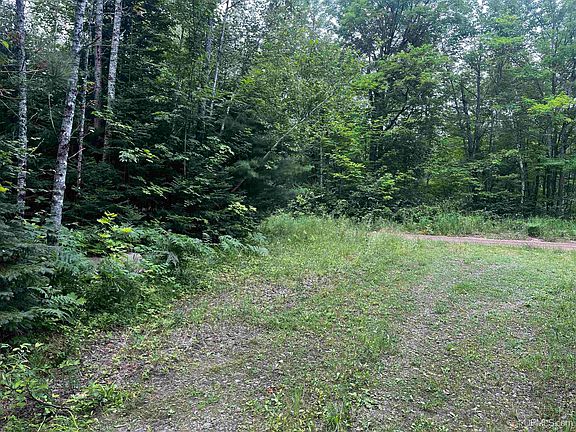 4th image of Holli Blue Rd