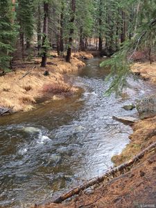 3411 Beaver Brae Dr, South Lake Tahoe, CA, 96150