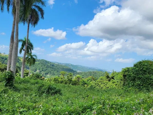 Lote #5-958, Rio Grande, PR 00745