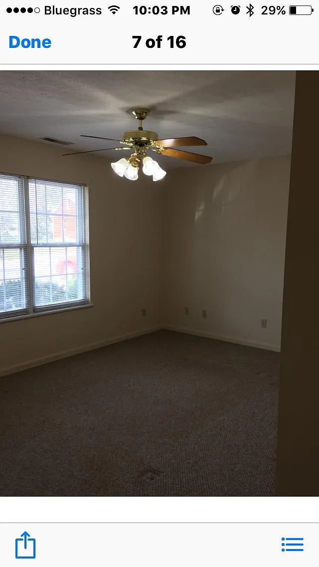 Living room - 901 Hawkins Dr