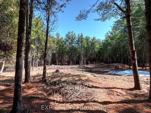 2nd image of 593 County Road 40 Rd