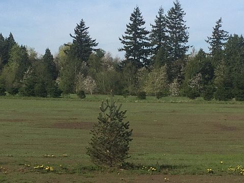 4th image of 49 Xx Northwest Dr