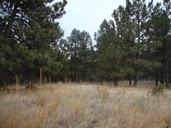 Tbd Crooked Canyon Rd, Hermosa, SD 57744