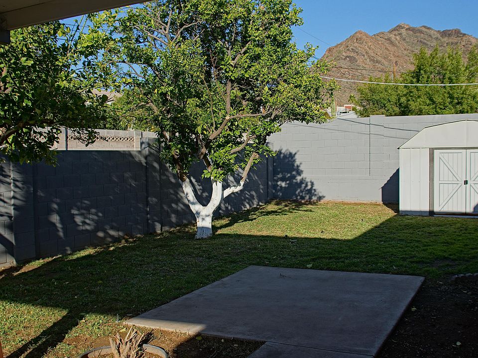 Back Yard Facing the Mountain in late afternoon