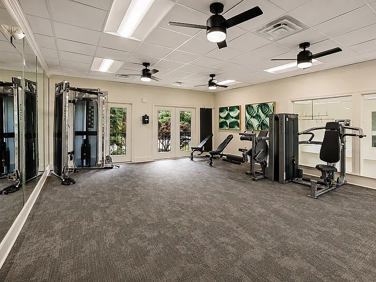 Elevate your fitness routine in our modern gym with premium equipment and inspiring natural light.