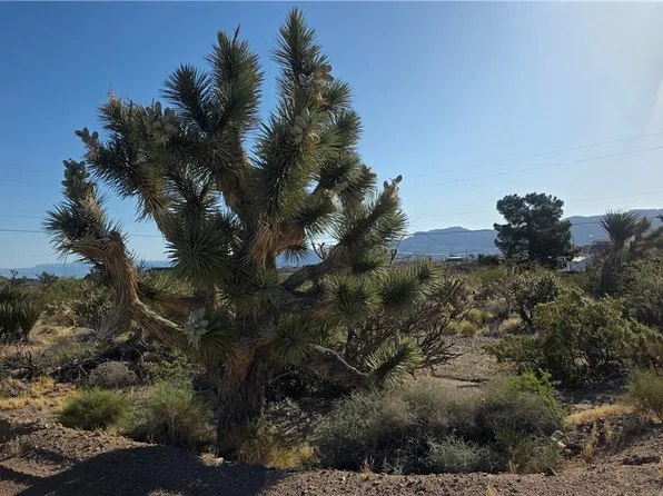 29952 N Driftwood Dr, Meadview, AZ 86444