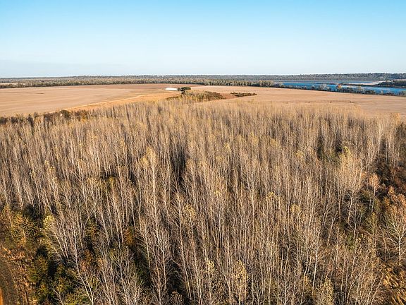 4th image of Wolfe Island Rd