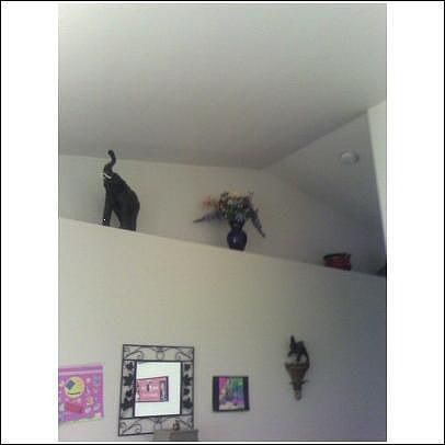 plant shelf in living room