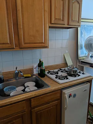 Rented by Loisaida Realty | media 6