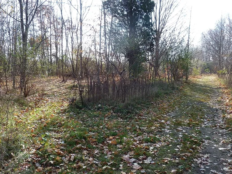 11737 21 Mile Rd — Photo 26