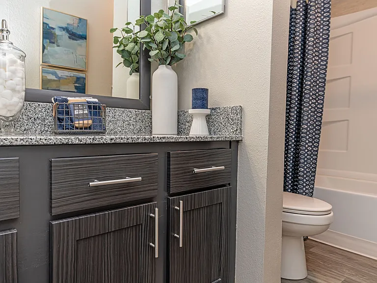 Bathroom with granite counters and modern cabinetry