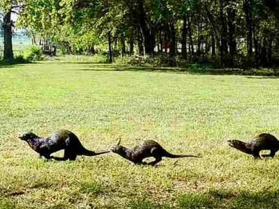 521 Airport Rd, Shelbyville, TN, 37160