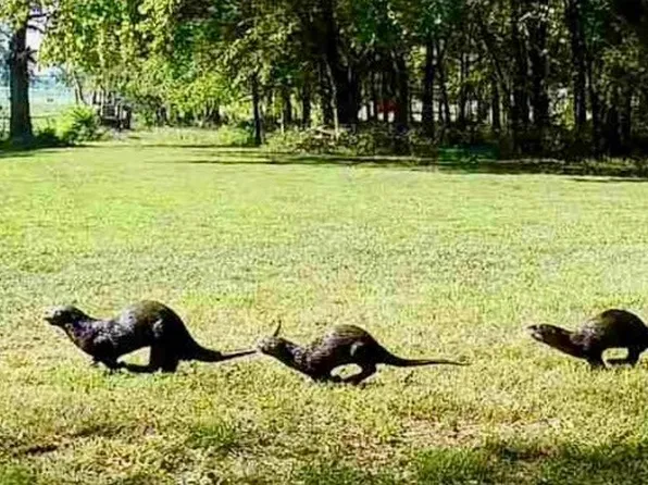 521 Airport Rd, Shelbyville, TN 37160