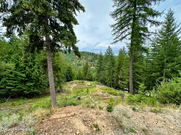 625 E Fork French Gulch Rd, Kingston, ID 83839